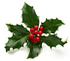 Loteria Navidad Grevol Loteria Navidad Grevol